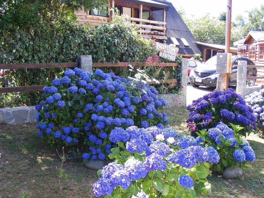 Cabanas Las Hortensias Otel Niebla Dış mekan fotoğraf