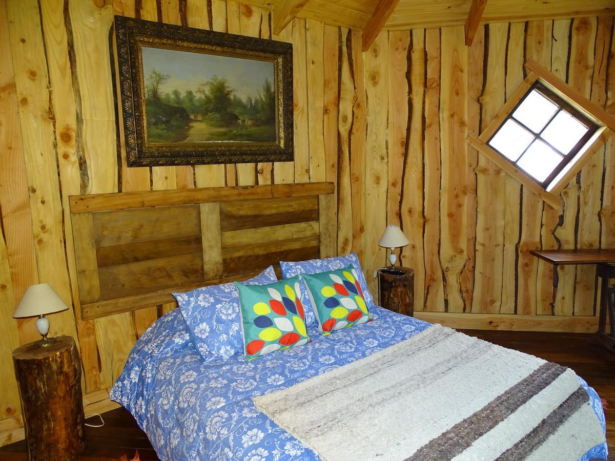 Cabanas Las Hortensias Otel Niebla Dış mekan fotoğraf