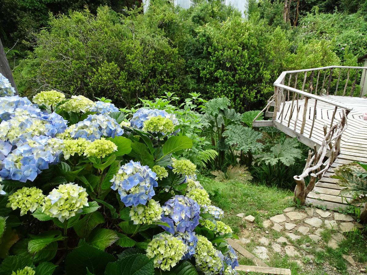Cabanas Las Hortensias Otel Niebla Dış mekan fotoğraf
